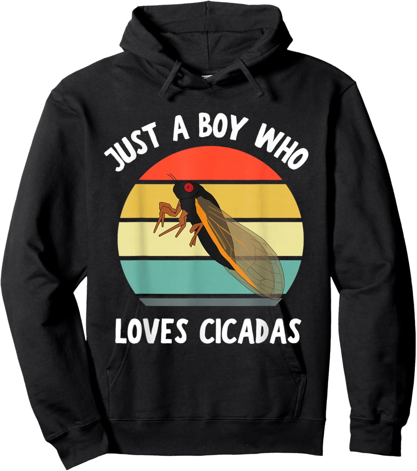 Just A Boy Who Loves Cicadas Future Entomologist Kids Boys Hoodie - Hoodie | Black