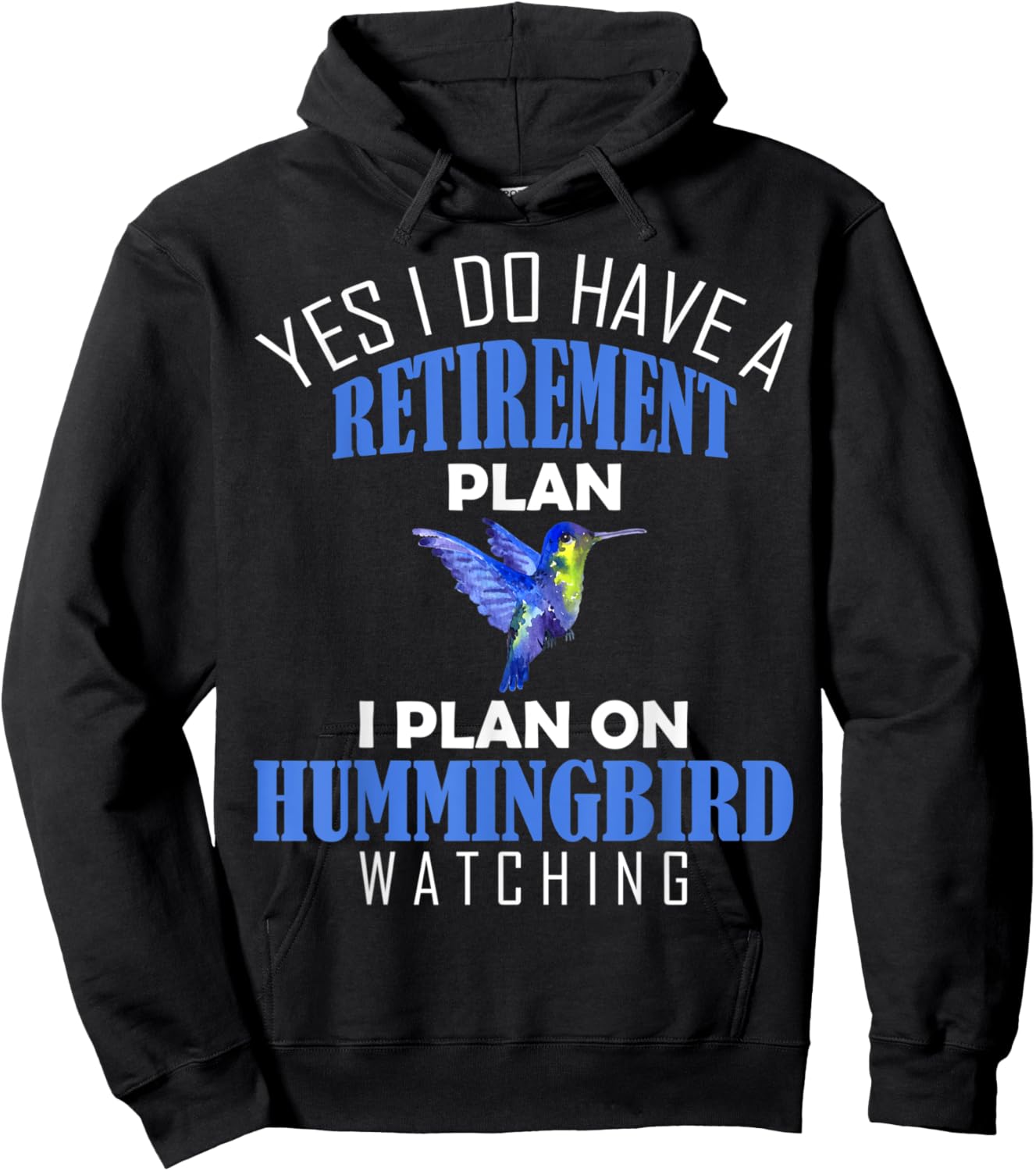 Retirement Plan Hummingbird Watching Animal Bird Lover Hoodie - Hoodie | Black