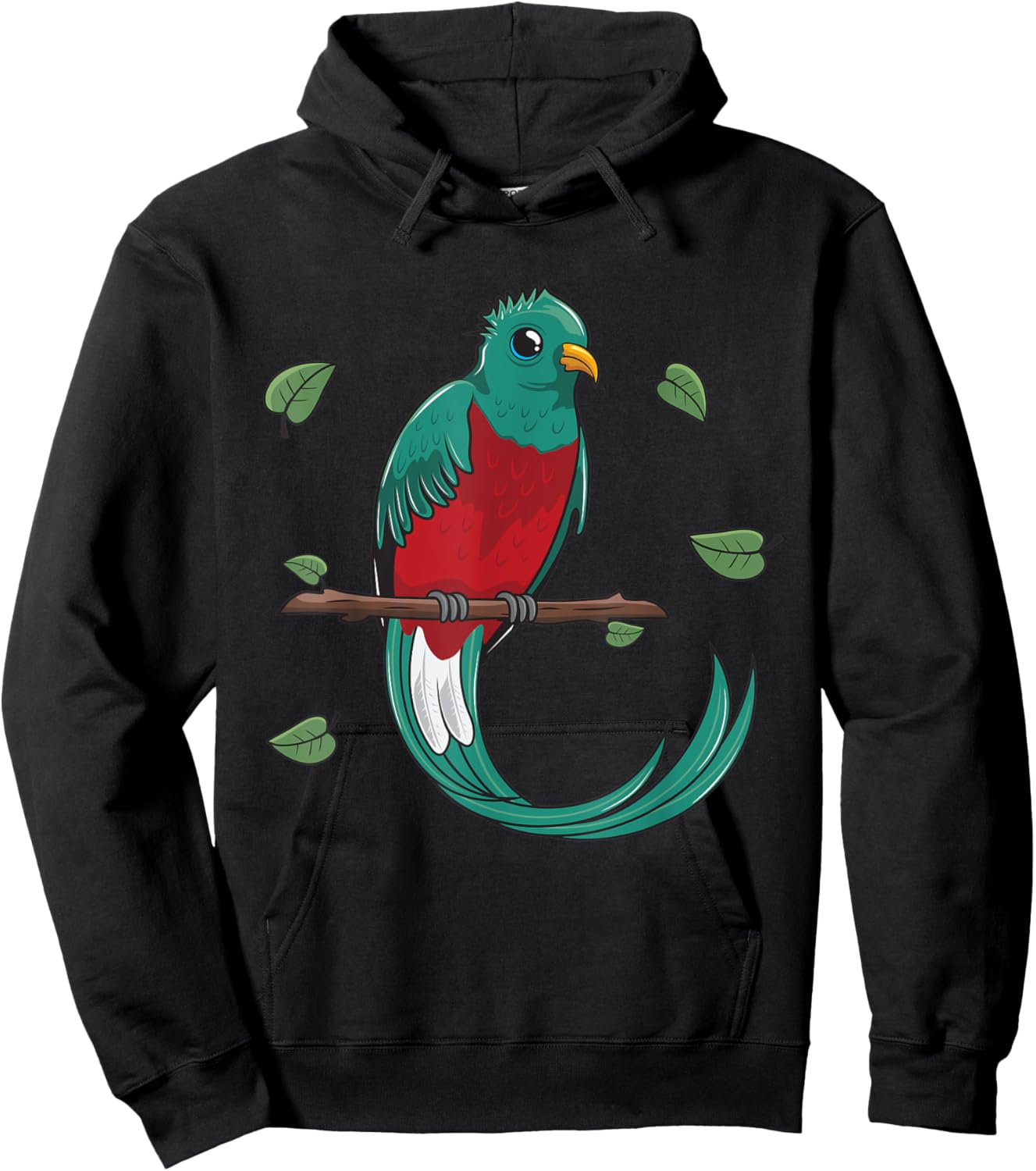 Cartoon Quetzal Bird I Kids I Parrot I Children Bird Hoodie - Hoodie | Black
