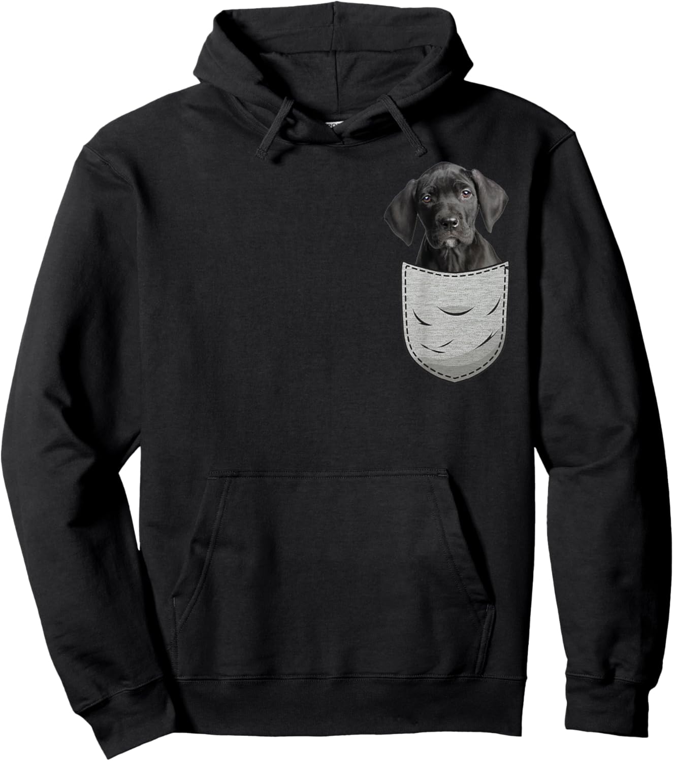 Great Dane Puppy Apollo of Dogs Gentle Giant Lady Hoodie - Hoodie | Black