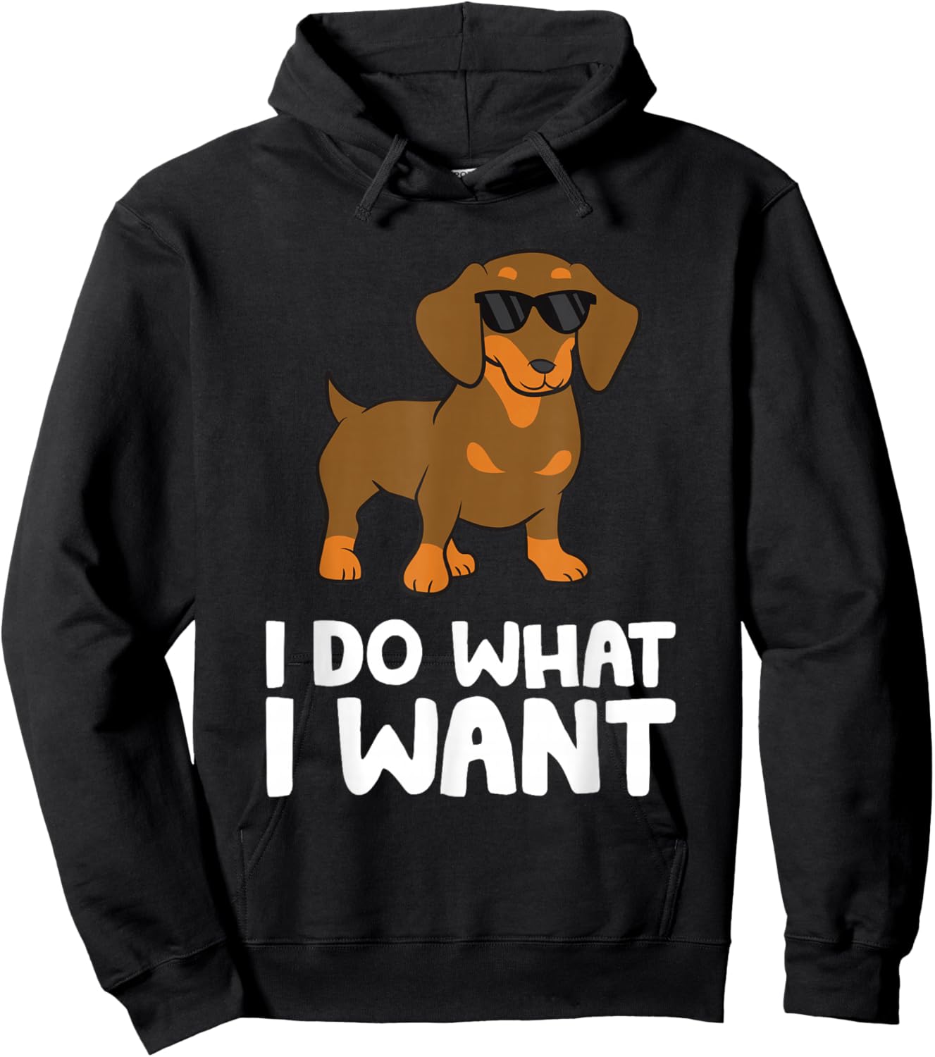 Dachshund Dog I Do What I Want Cute Dachshund Hoodie - Hoodie | Black