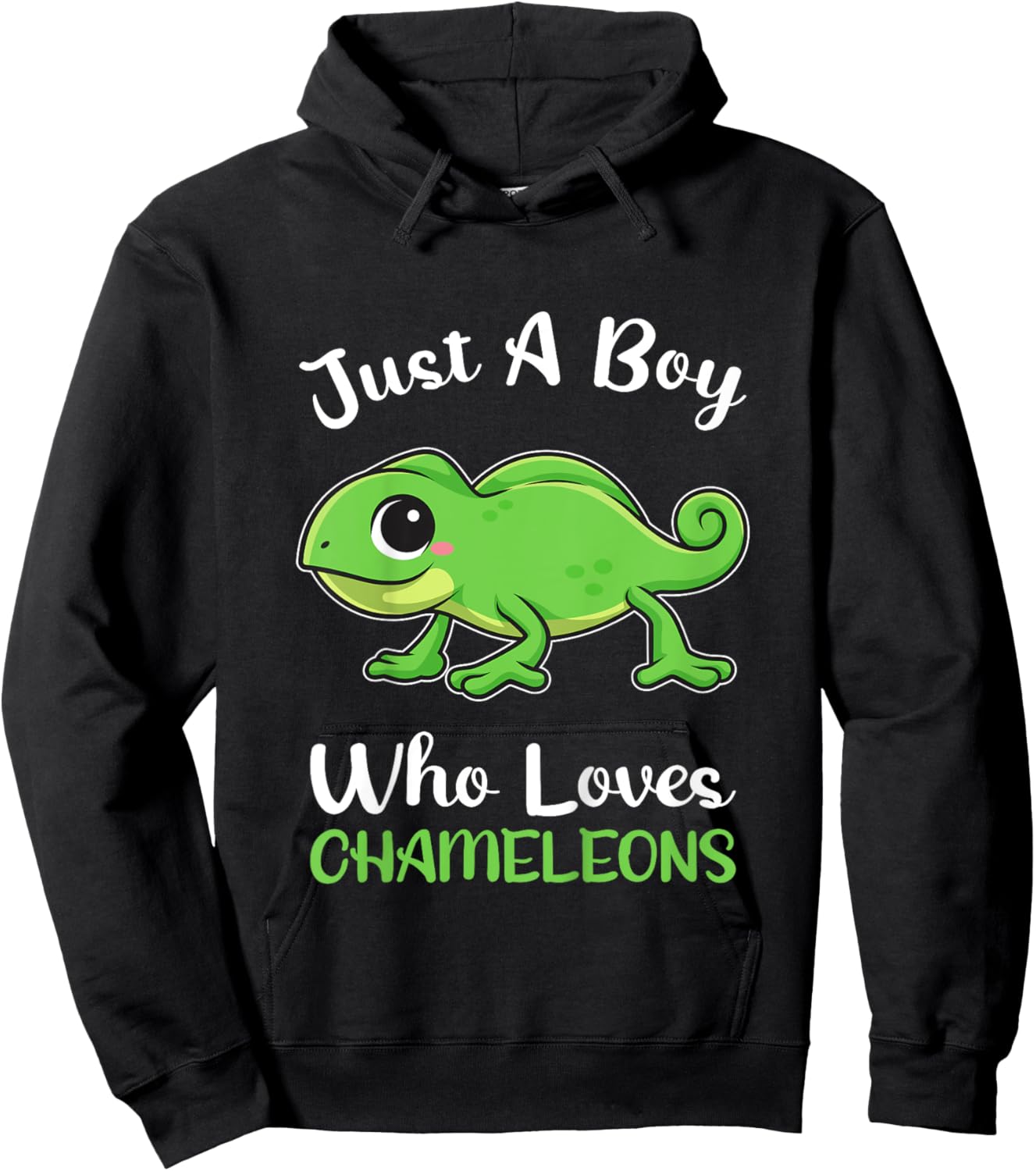 Kids Just A Boy Loves Chameleons Boys Kids Pajamas Hoodie - Hoodie | Black