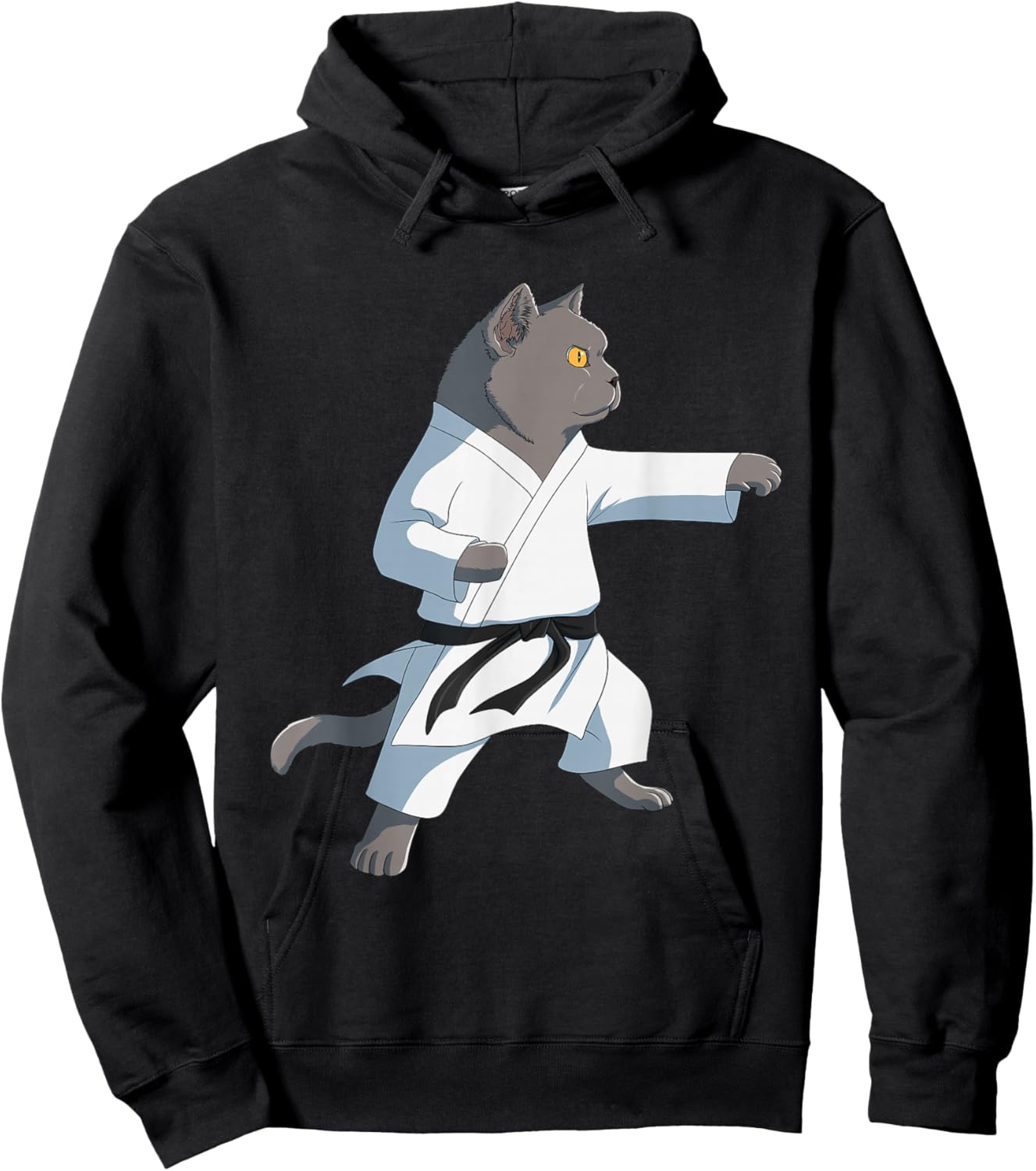 Funny Karate British Shorthair Cat Hoodie - Hoodie | Black