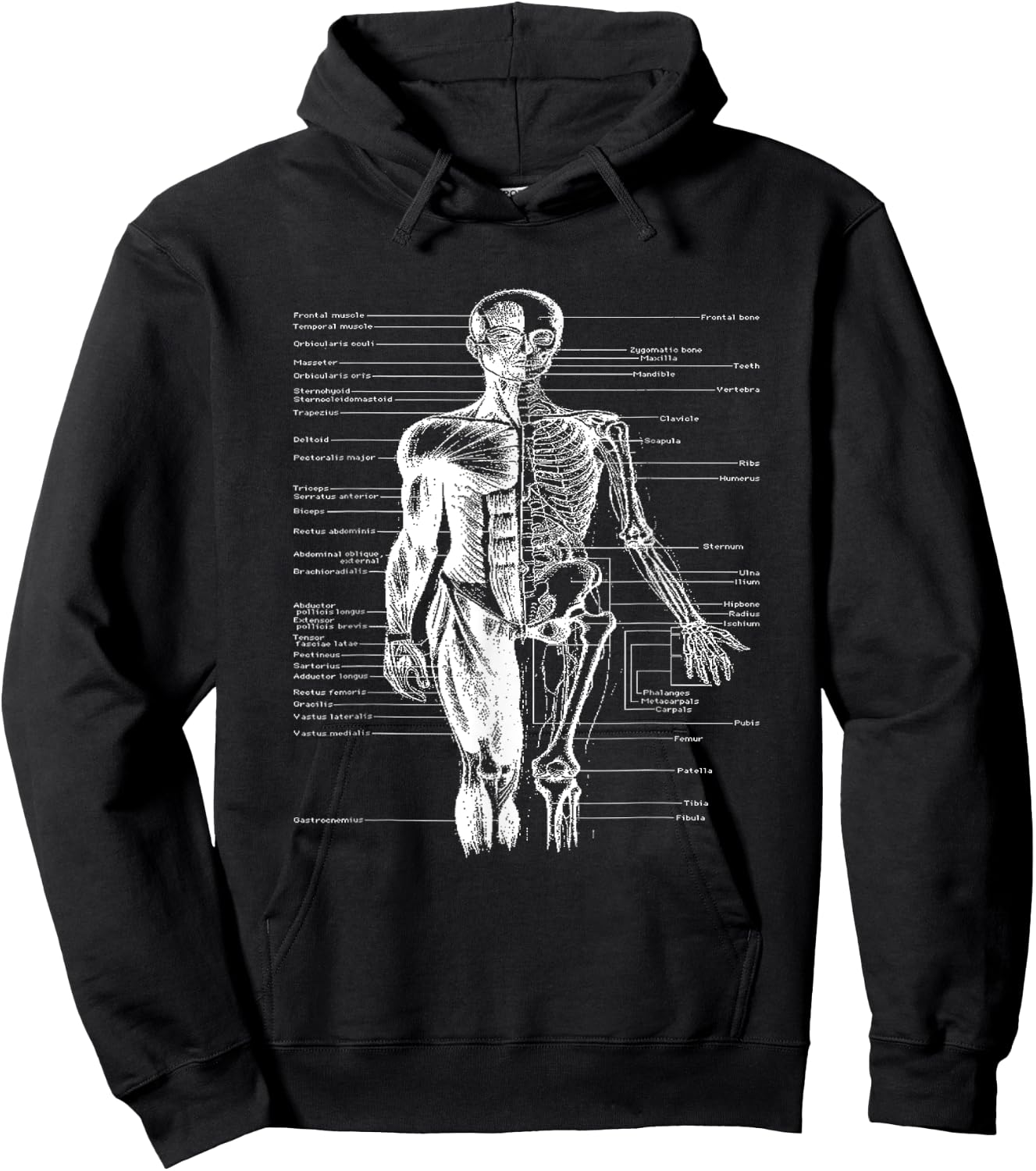 Human Body Muscle Anatomy Doctor Hoodie - Hoodie | Black