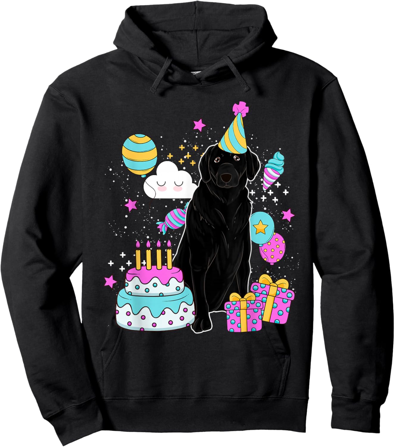 Dog Birthday Party Black Labrador Pet Lover Black Lab Women Kids Hoodie - Hoodie | Black