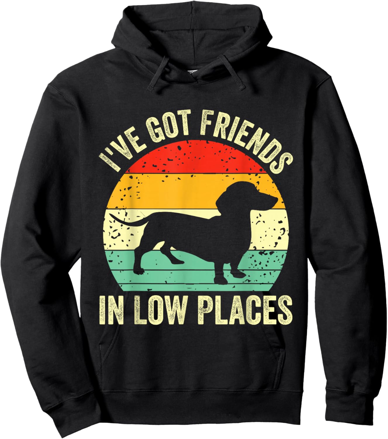 Dachshund I've Got Friends In Low Places Wiener Dog Vintage Hoodie - Hoodie | Black