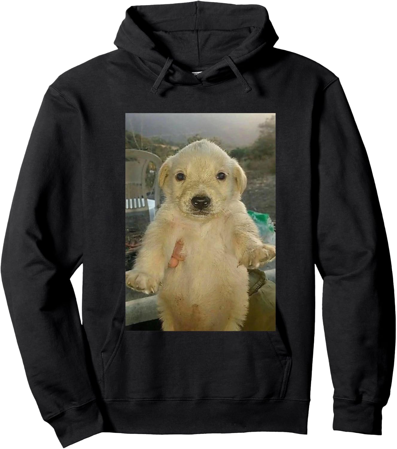 Funny Jotchua Dog Meme Jotchua My Beloved Women Hoodie - Hoodie | Black