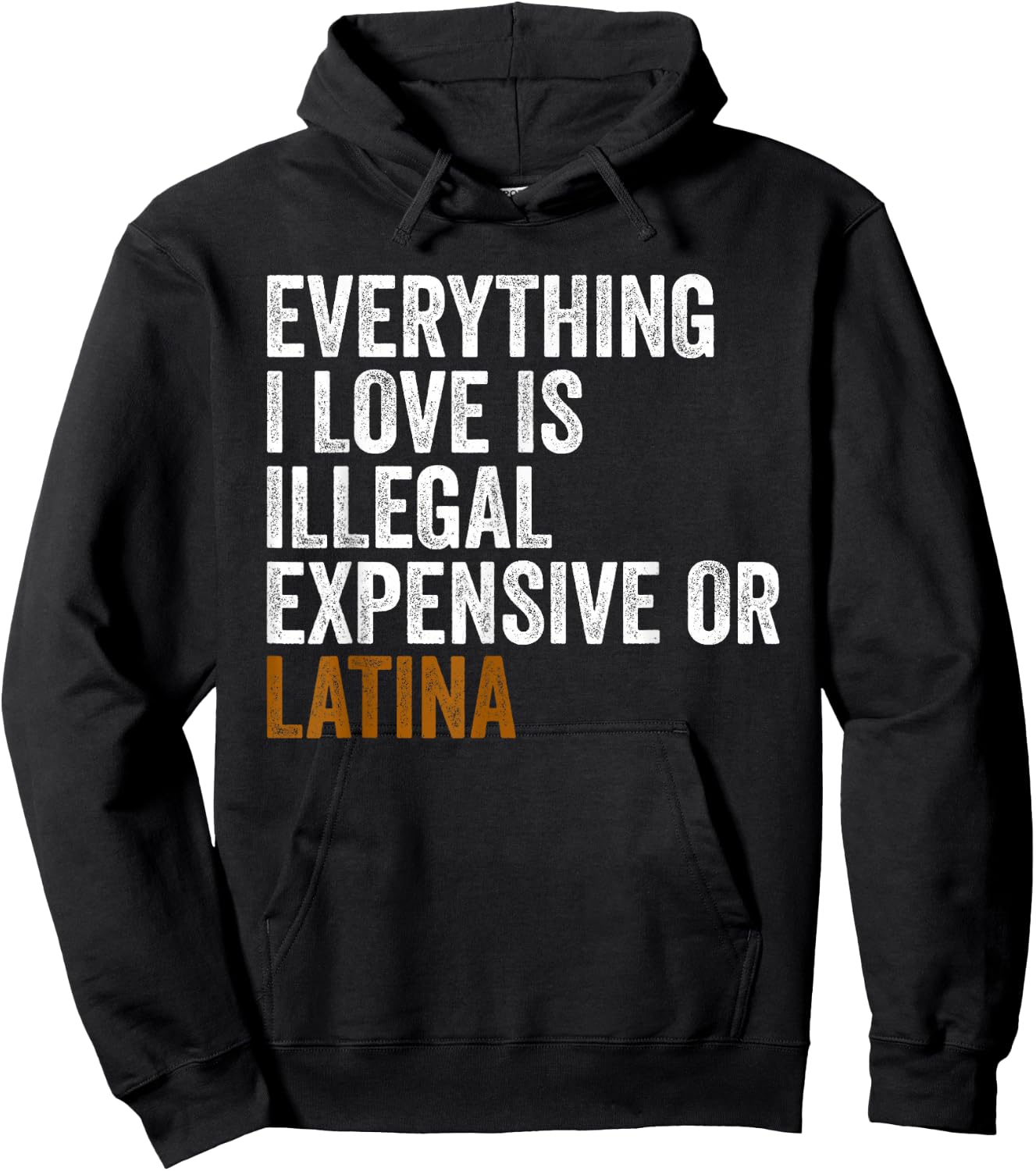 Funny EVERYTHING I LOVE IS ILLEGAL EXPENSIVE OR LATINA Hoodie - Hoodie | Black