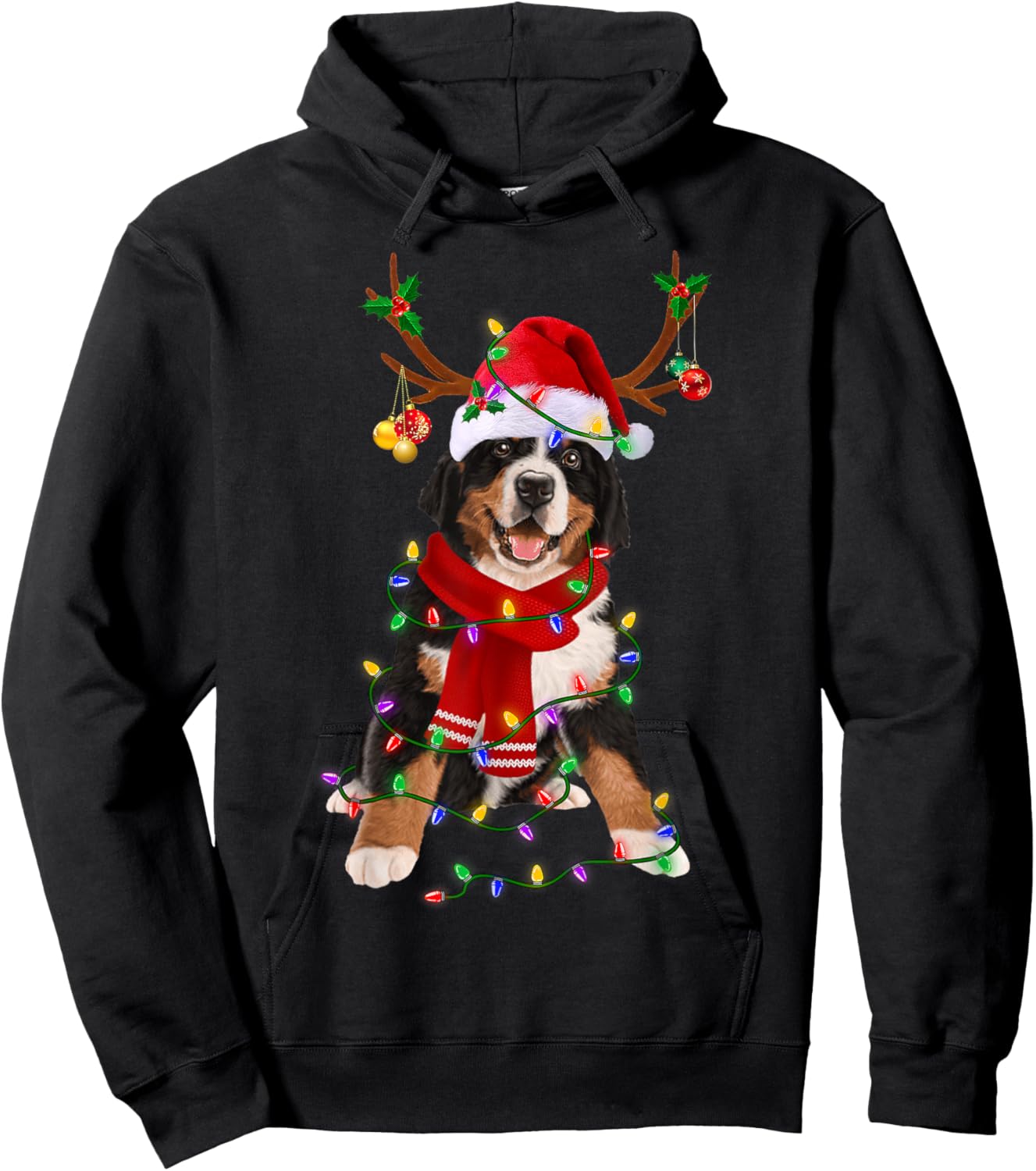 Bernese Mountain Christmas Lights Matching Family Dog Lover Men Women Kids Hoodie - Hoodie | Black