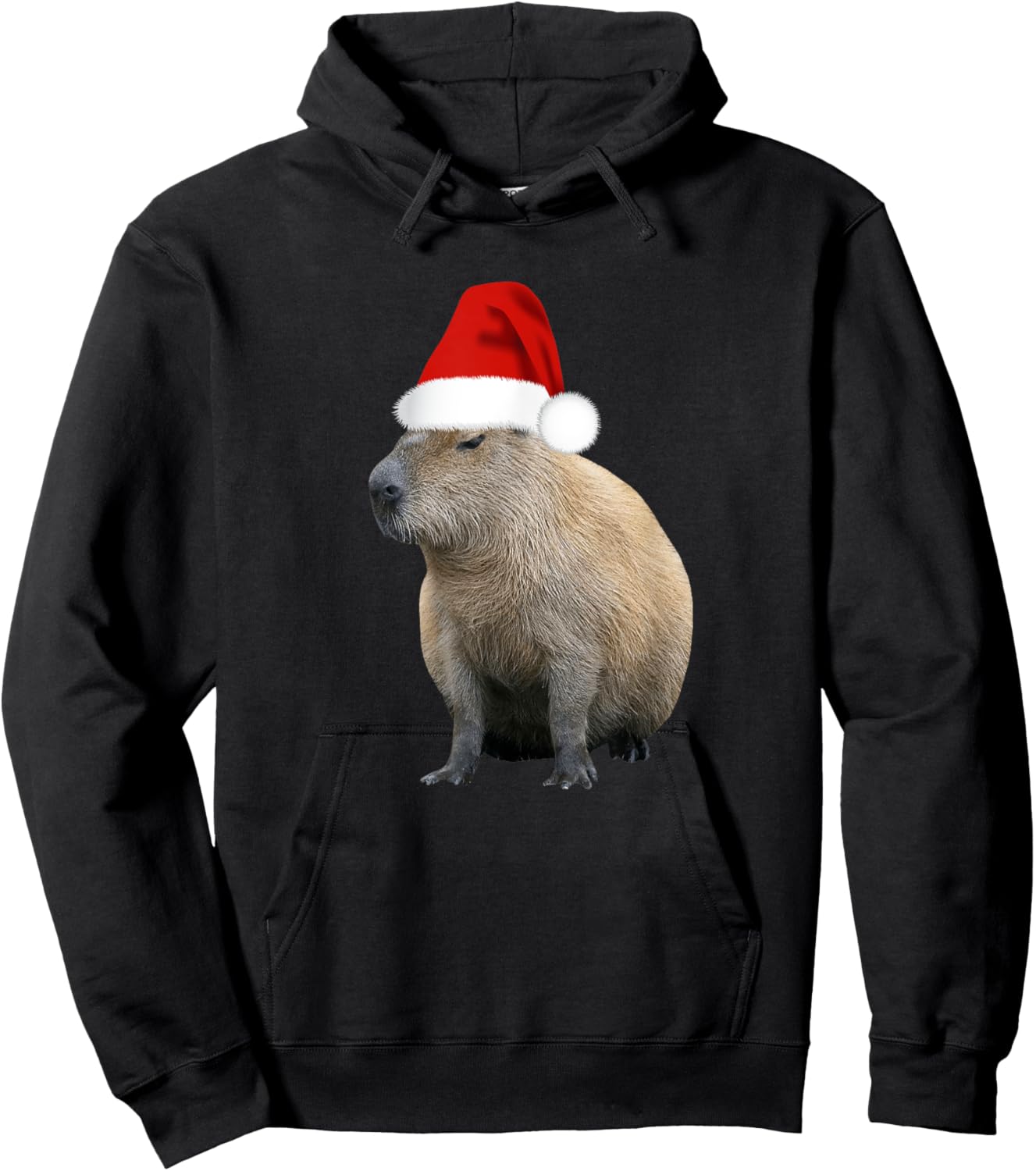 Christmas Capybara Santa Hat Hoodie - Hoodie | Black