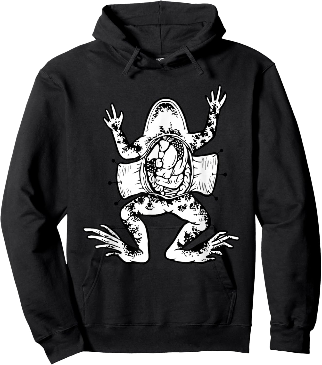 Frog Dissection Herpetologist Biology Teacher Cute Frog Women Hoodie - Hoodie | Black