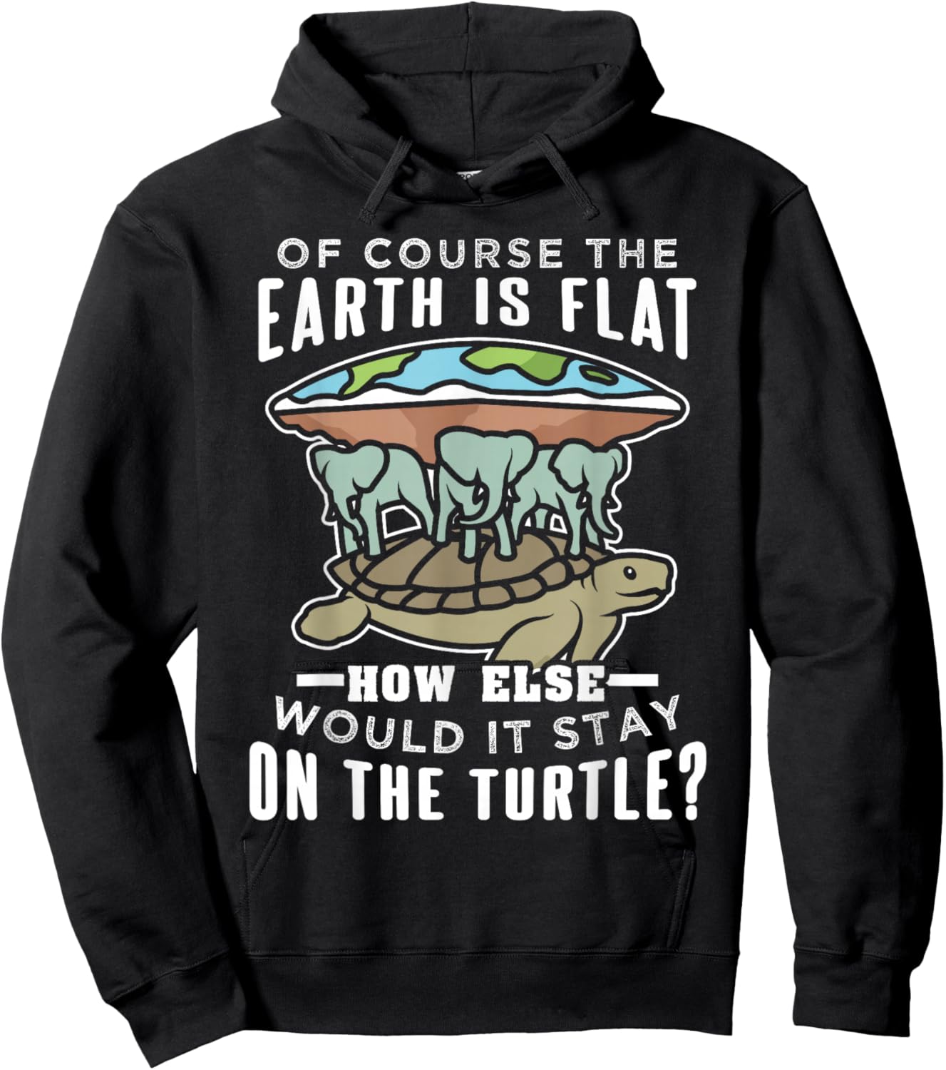 Flat Earth Turtle Design For Conspiracy Theorist Hoodie - Hoodie | Black