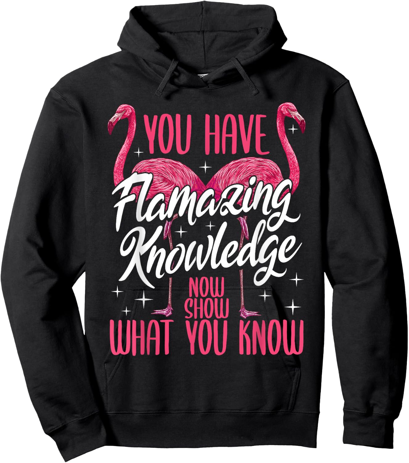 Test Day Teacher You Have Flamazing Knowledge Flamingo Hoodie - Hoodie | Black
