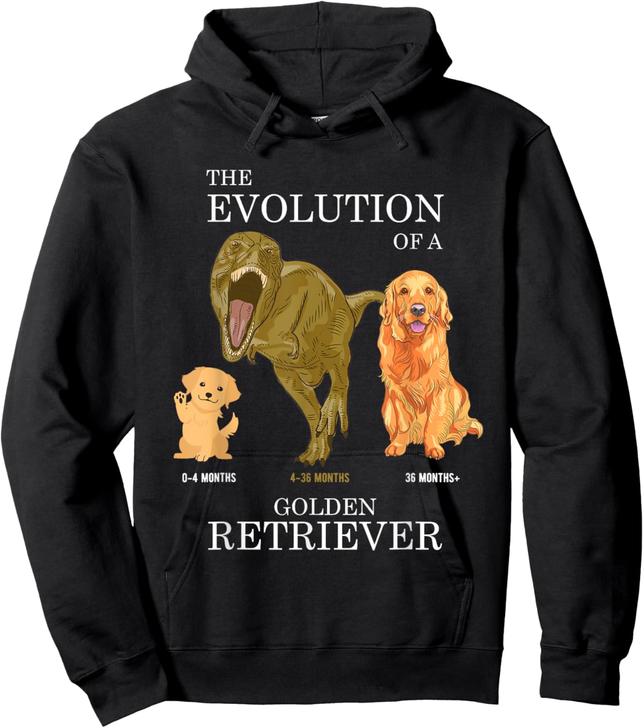 The Evolution of a Golden Retriever or Evolution of dogs Hoodie - Hoodie | Black