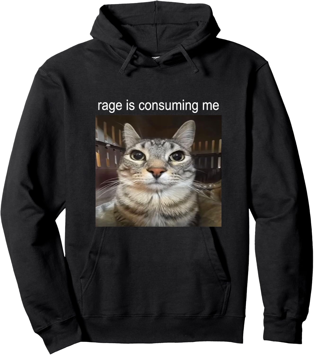 Rage is Consuming Me Silly Staring Cat Meme Hoodie - Hoodie | Black