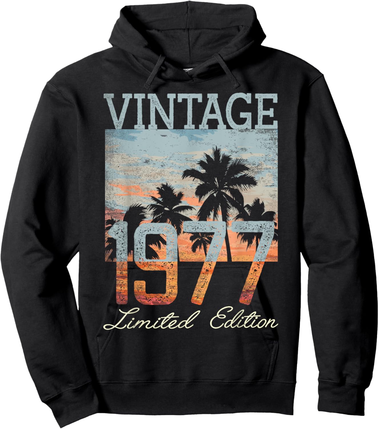 Vintage 1977 Limited Edition 48 Year Old Gifts 48th Birthday Hoodie - Hoodie | Black