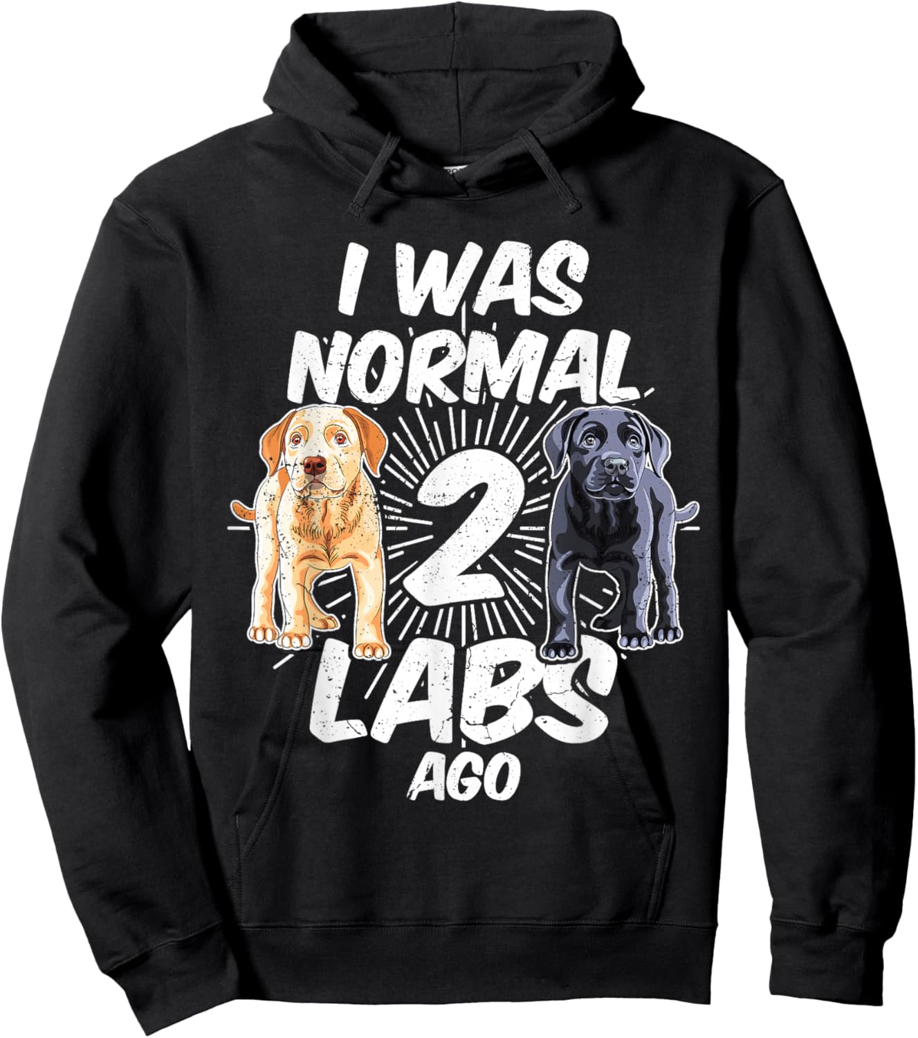 I Was Normal 2 Labs Ago Funny Labrador Dog Breed Women Hoodie - Hoodie | Black