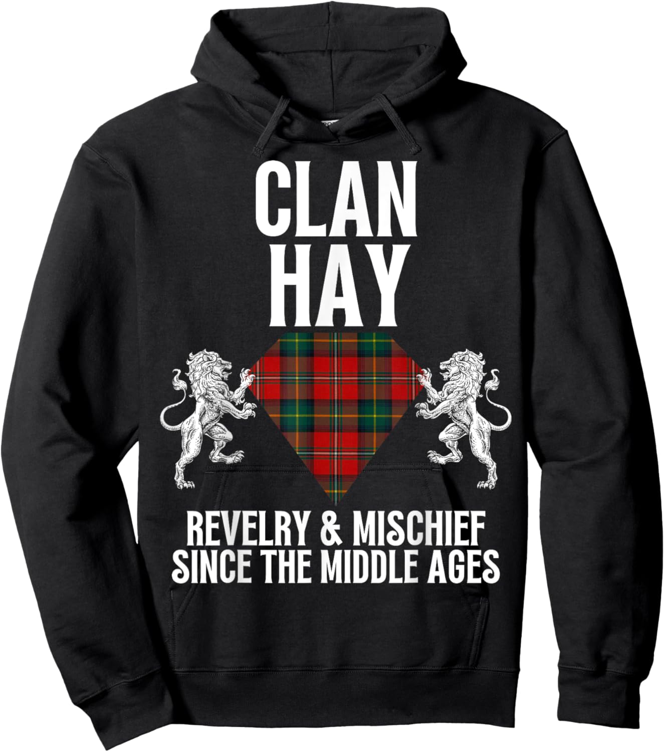 Hay Clan Scottish Name Coat Of Arms Tartan Family Party Hoodie - Hoodie | Black