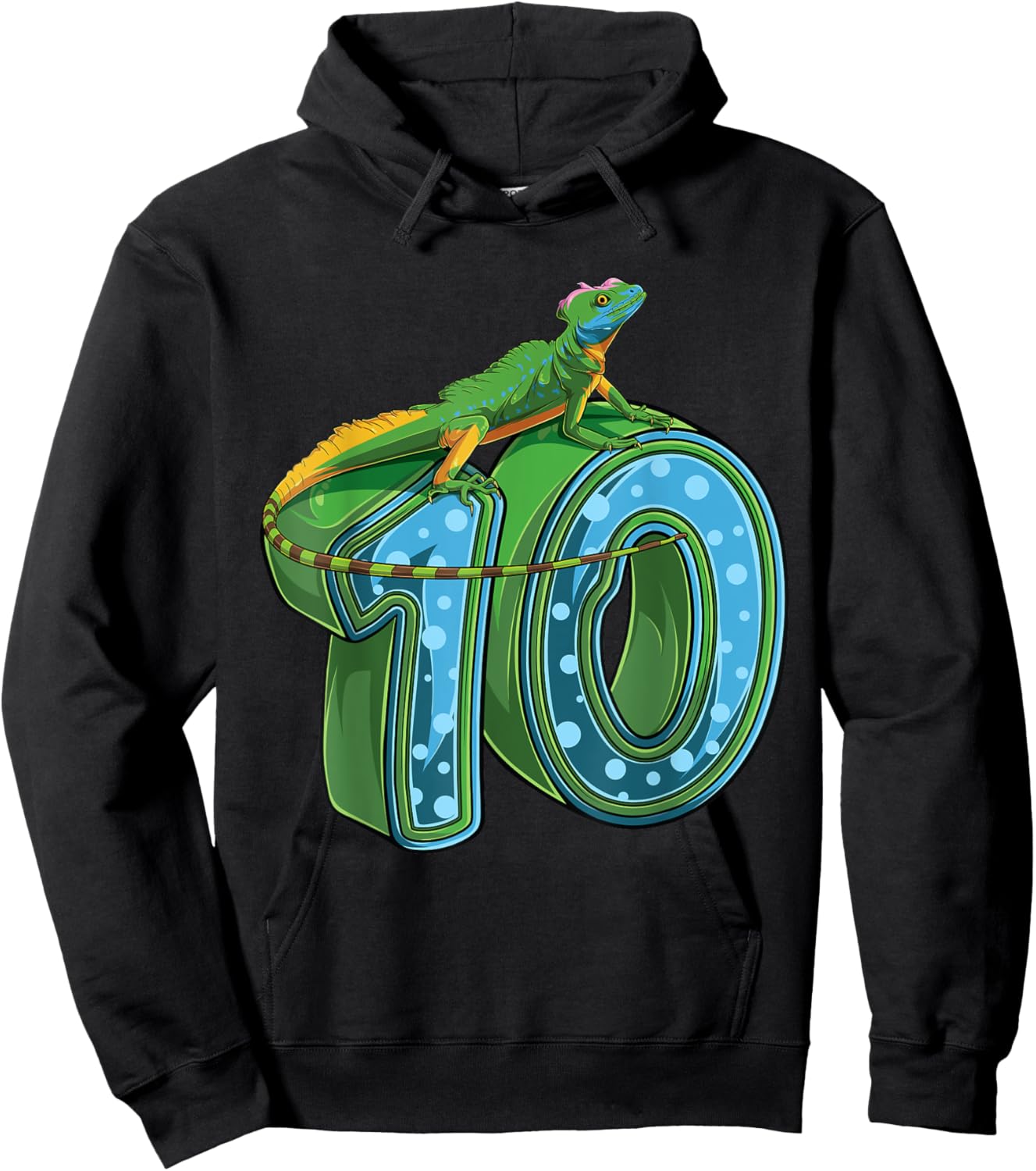 10 Year Old Lizard Reptile 10th Birthday Party B-day Hoodie - Hoodie | Black