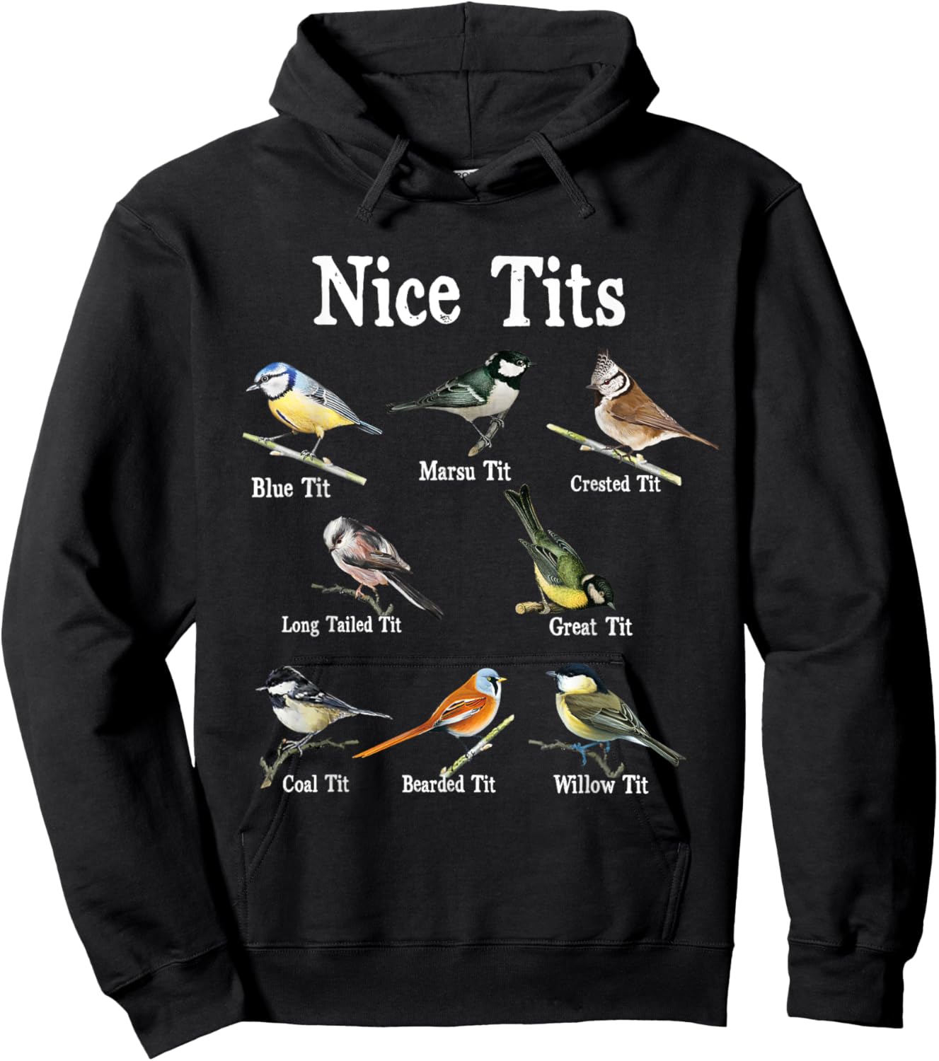 Nice Tits Bird Watching Funny Gifts Adults Men Birder Humor Hoodie - Hoodie | Black