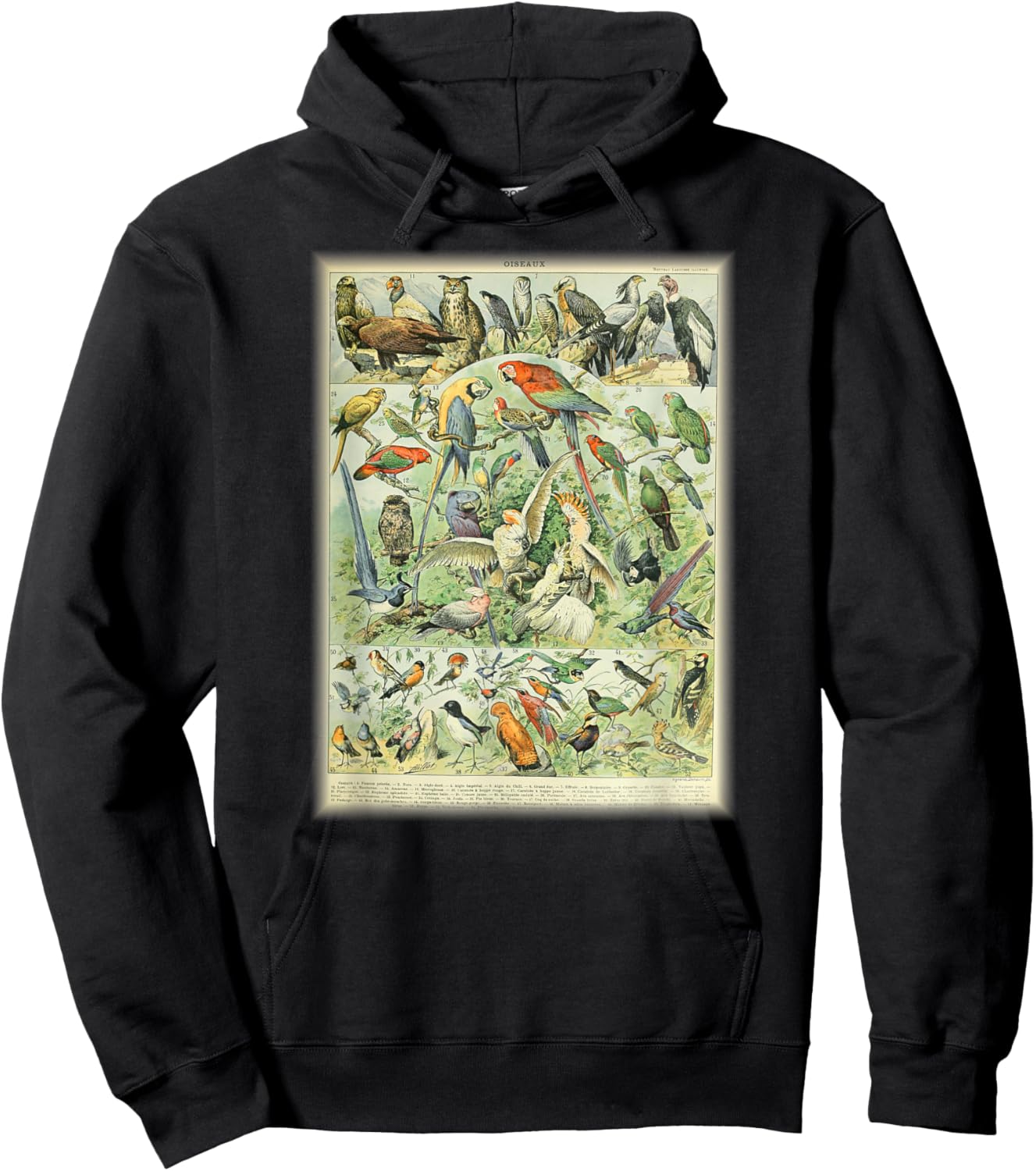 Scientific Bird Illustration Lover Biologist Birding Gift Hoodie - Hoodie | Black