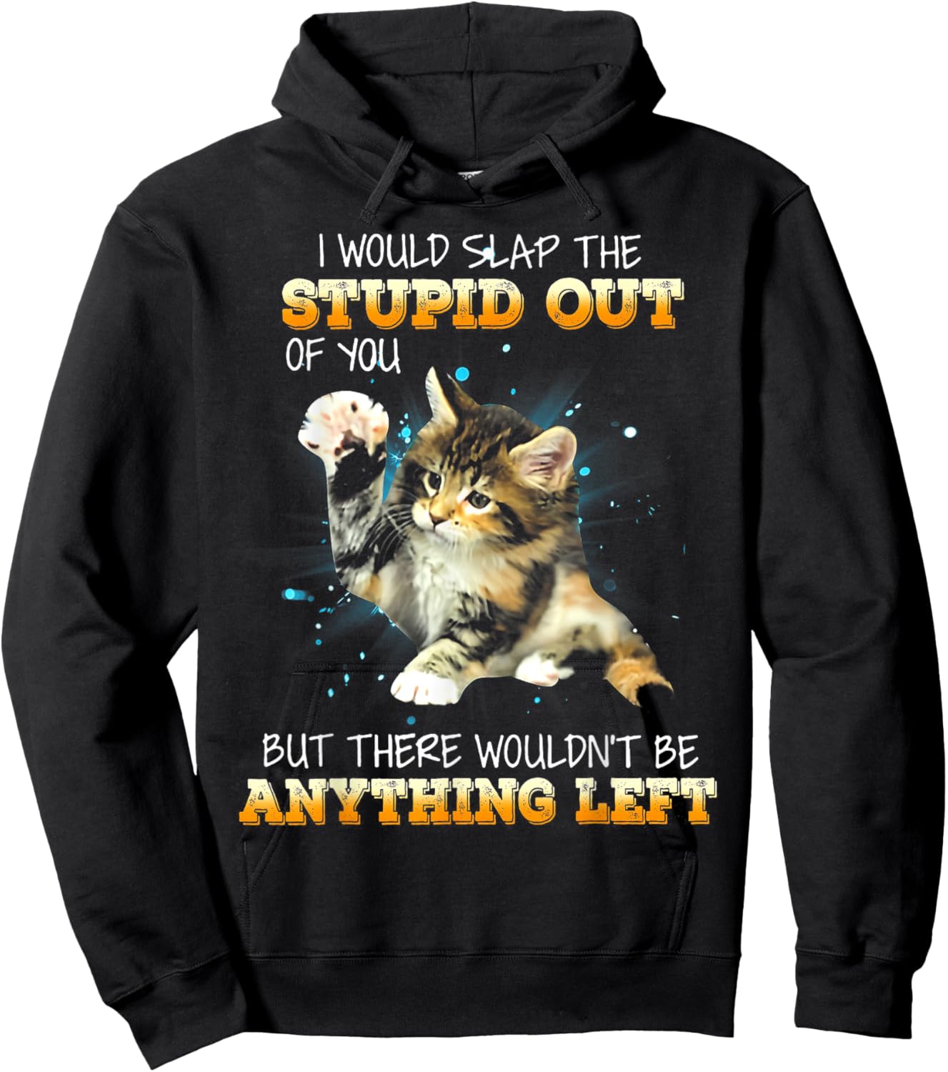 Cat I Would Slap The Stupid Out Of You Women Hoodie - Hoodie | Black