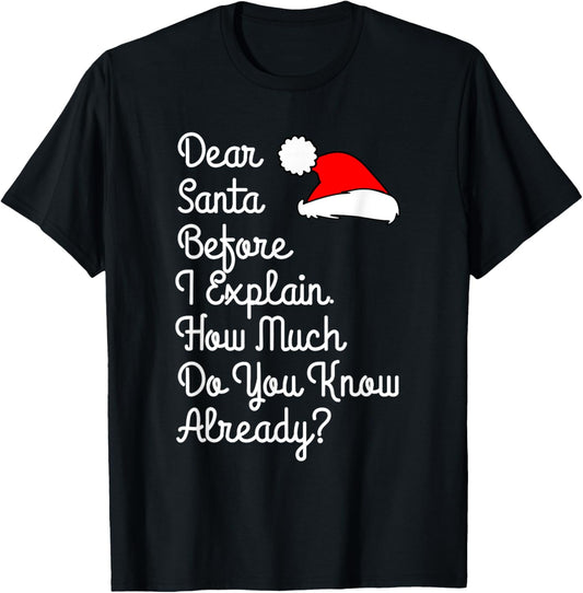 Dear Santa Before I Explain How Much Do You Know Already T-Shirt - T-Shirt | Black