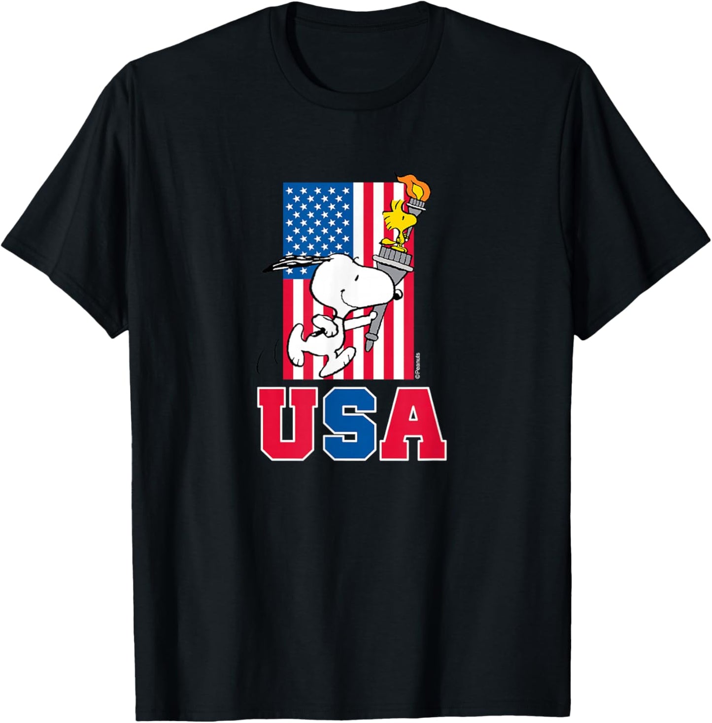 Peanuts - Snoopy & Woodstock USA Flag T-Shirt - T-Shirt | Black