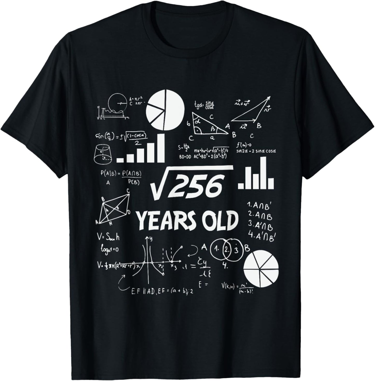 16th Birthday Square Root of 256 Math 16 Years Old Birthday T-Shirt - T-Shirt | Black