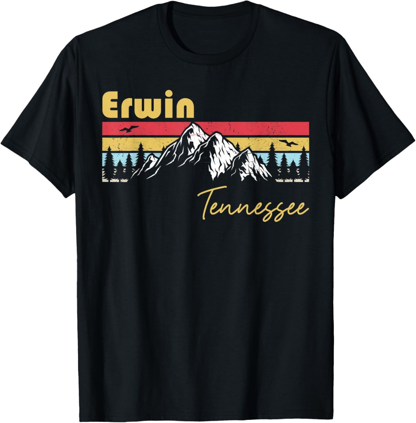 Erwin Tennessee Roots Hometown Vintage Home State Pride T-Shirt - T-Shirt | Black
