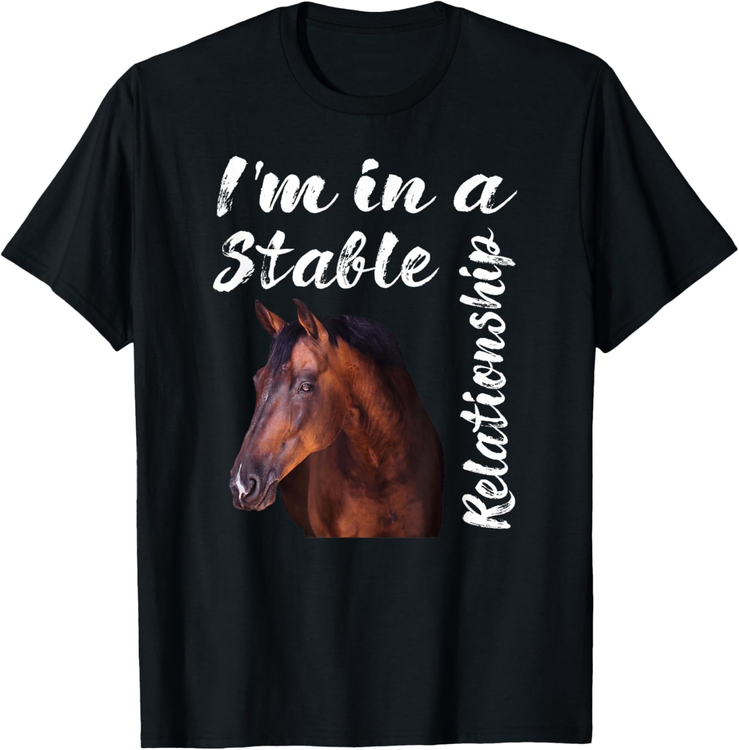 I'm In a Stable Relationship T-Shirt - T-Shirt | Black