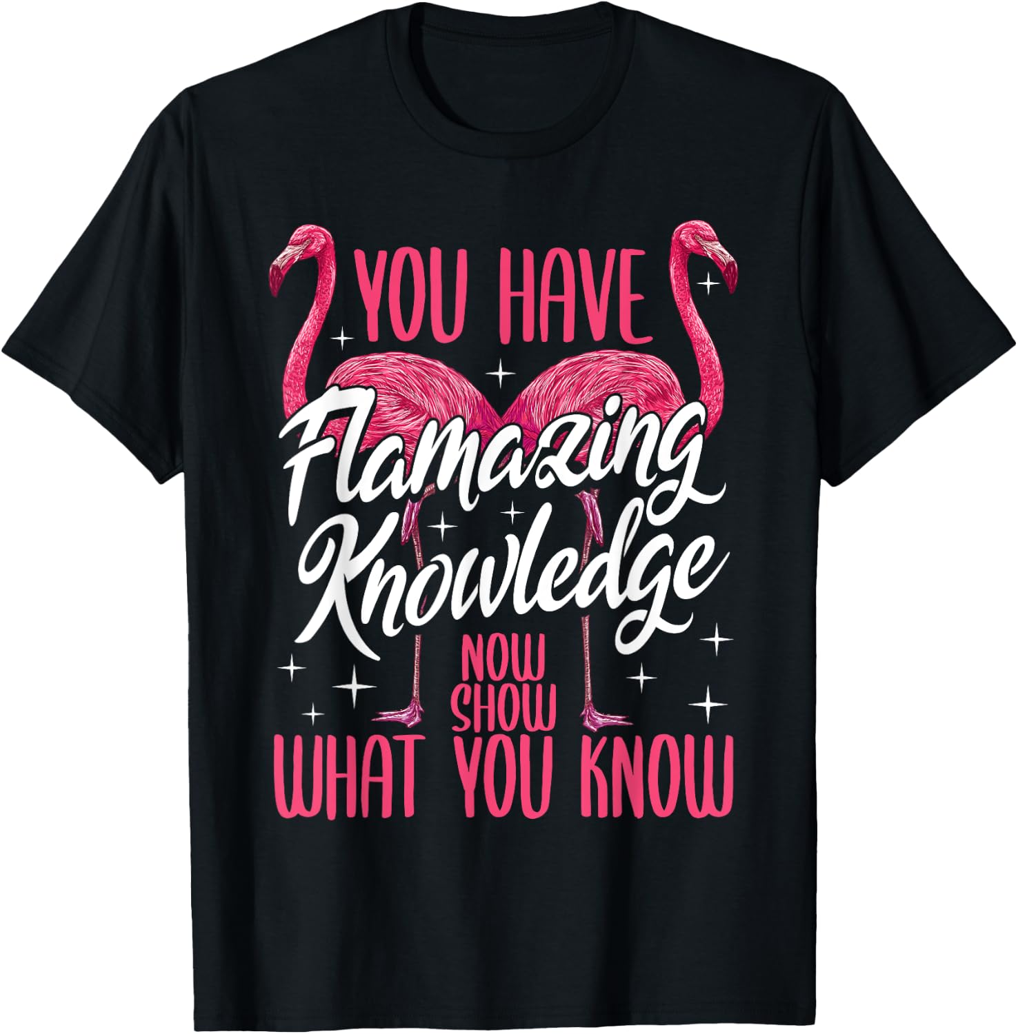 Test Day Teacher You Have Flamazing Knowledge Flamingo T-Shirt - T-Shirt | Black