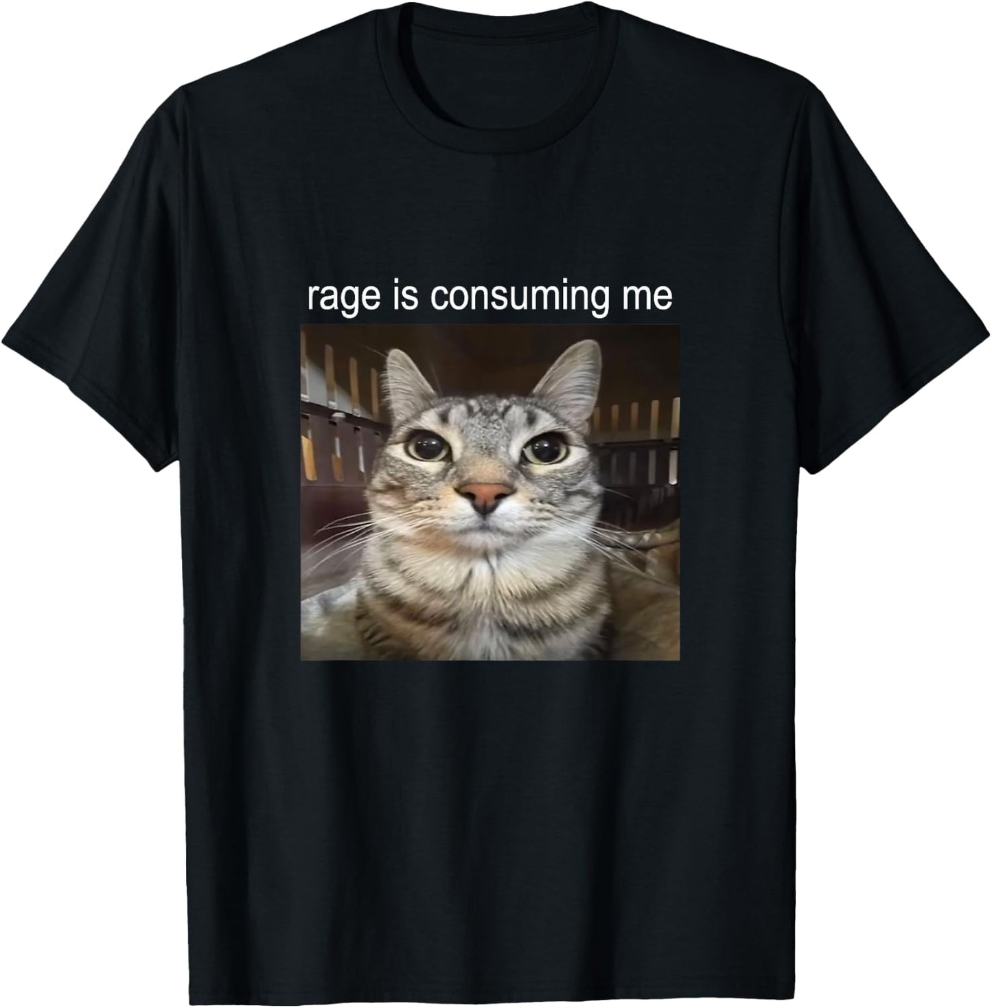 Rage is Consuming Me Silly Staring Cat Meme T-Shirt - T-Shirt | Black