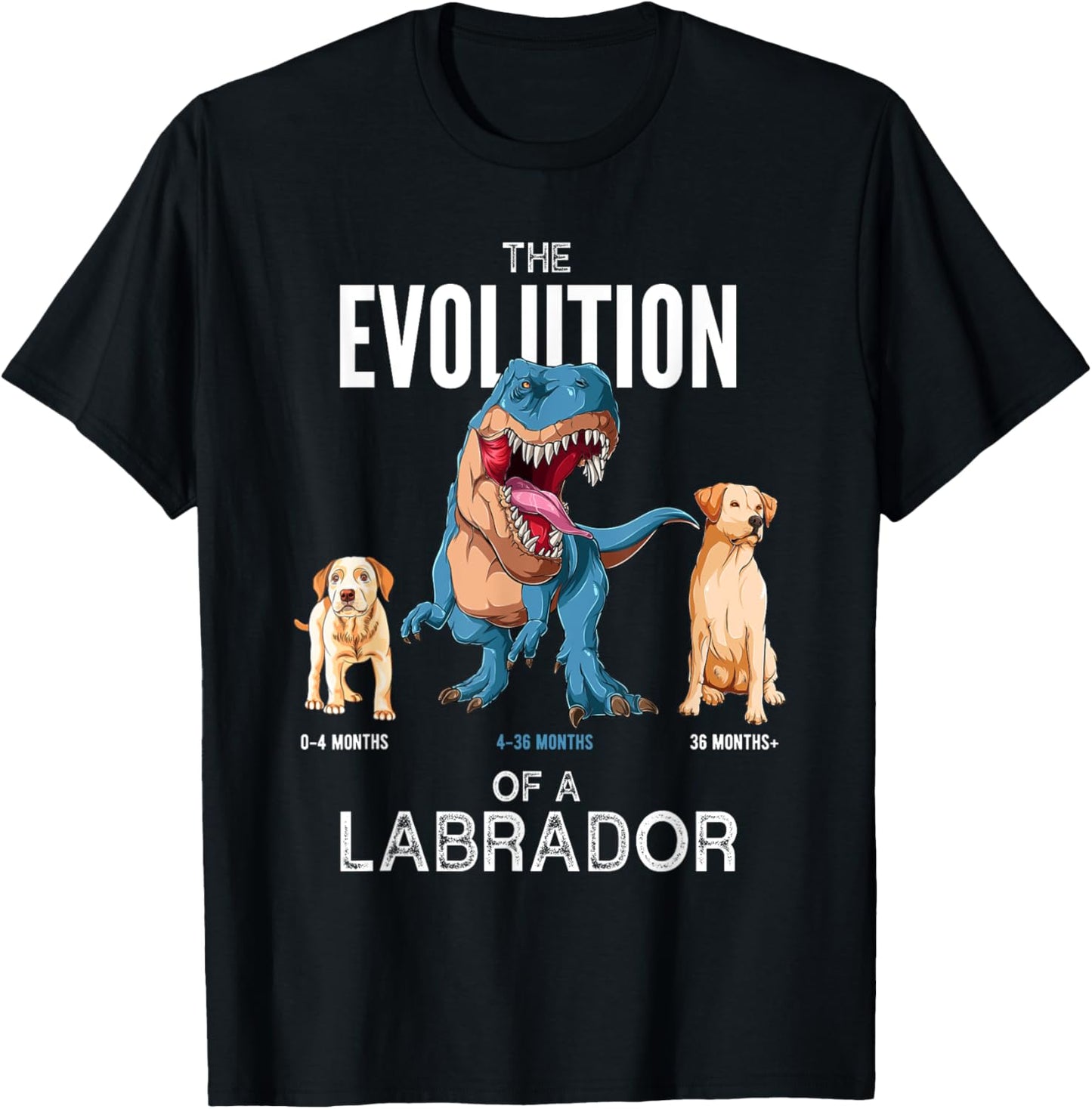 The Evolution of a Labrador or Evolution of dogs T-Shirt - T-Shirt | Black