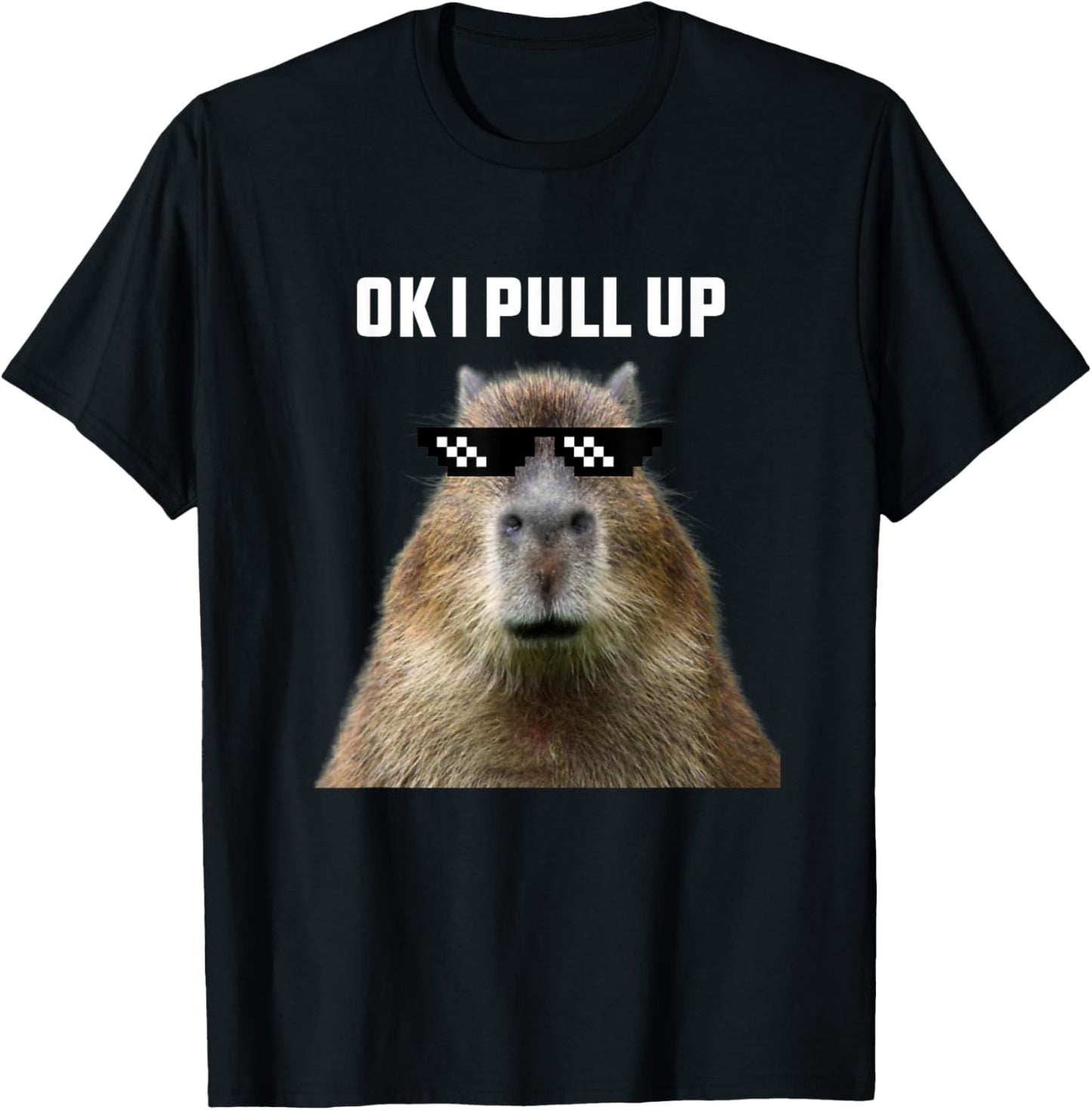Ok I Pull Up Capybara , Black T-Shirt - T-Shirt | Black