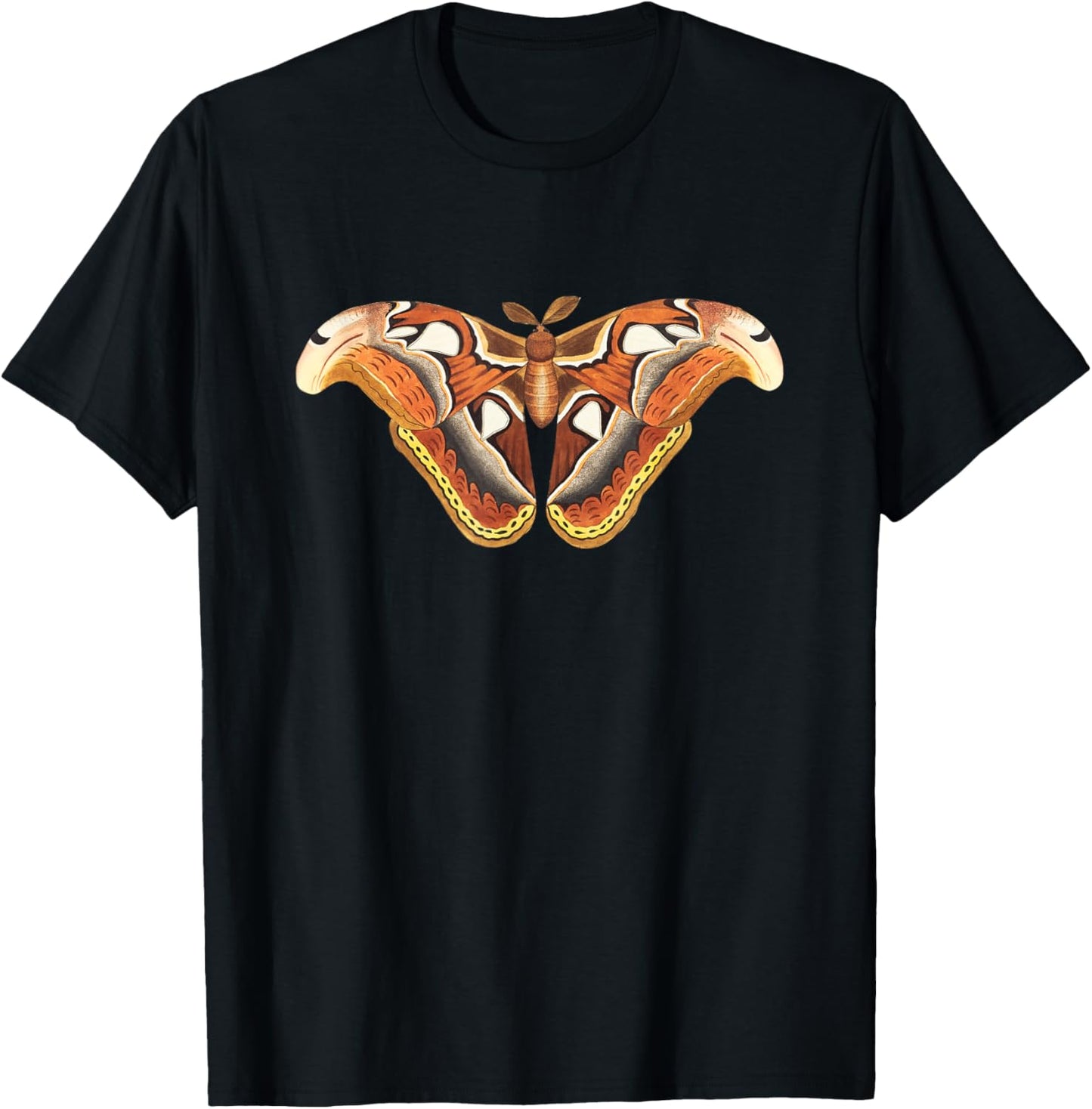 Atlas Moth Butterfly Insect Illustration & Women T-Shirt - T-Shirt | Black