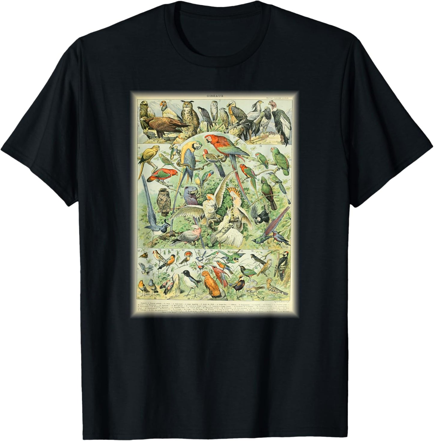 Scientific Bird Illustration Lover Biologist Birding Gift T-Shirt - T-Shirt | Black
