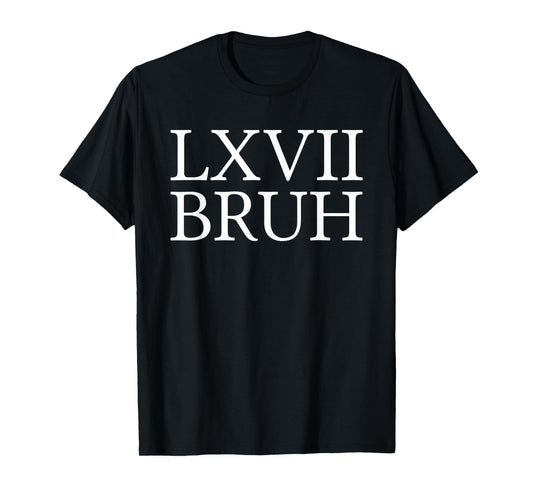 67 History Meme Six Seven Bruh Funny History Teacher T-Shirt
