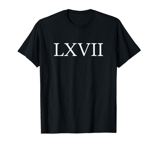 67 History Meme Six Seven Historian Funny History Teacher T-Shirt