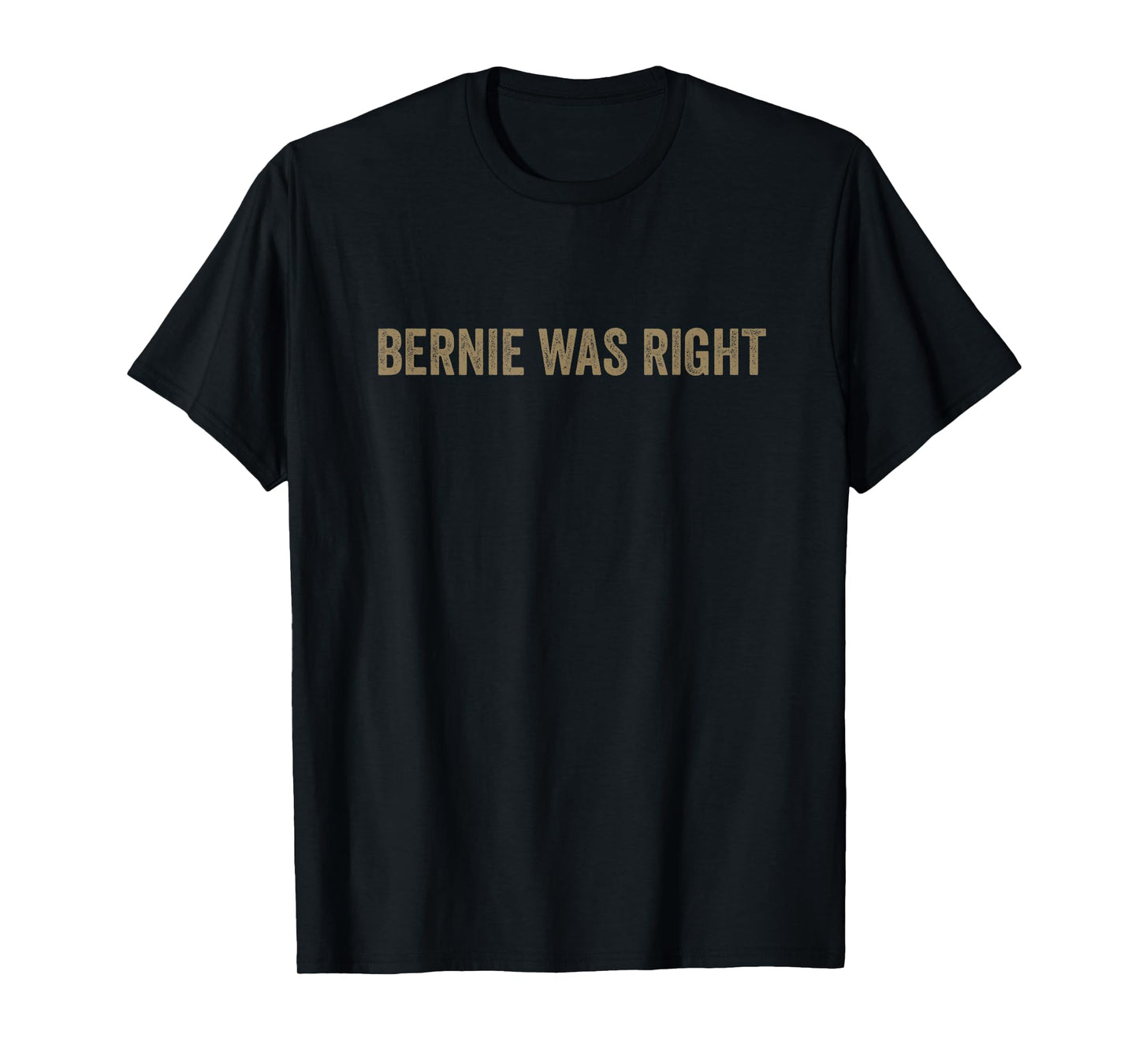 Bernie Sanders Bernie Was Right Indivisible No Kings Protest T-Shirt