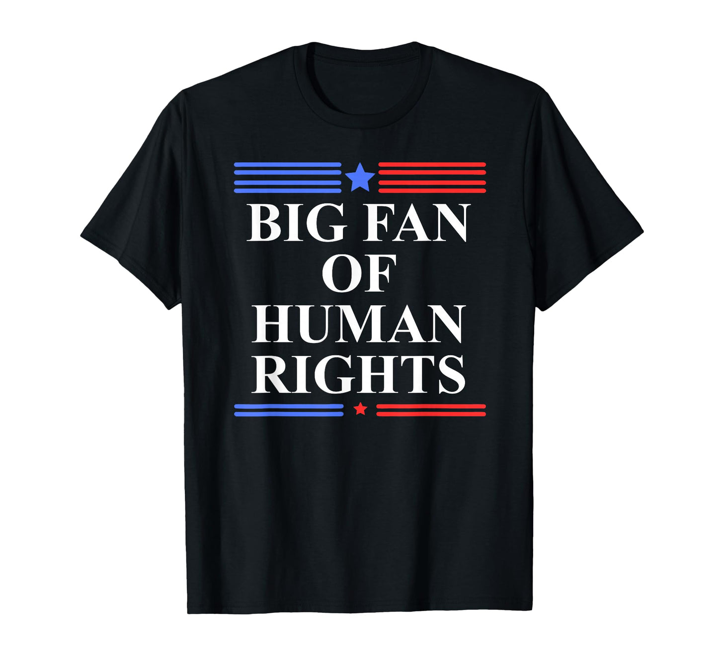Big Fan of Human Rights Protest Signs No Kings Pro Democracy T-Shirt