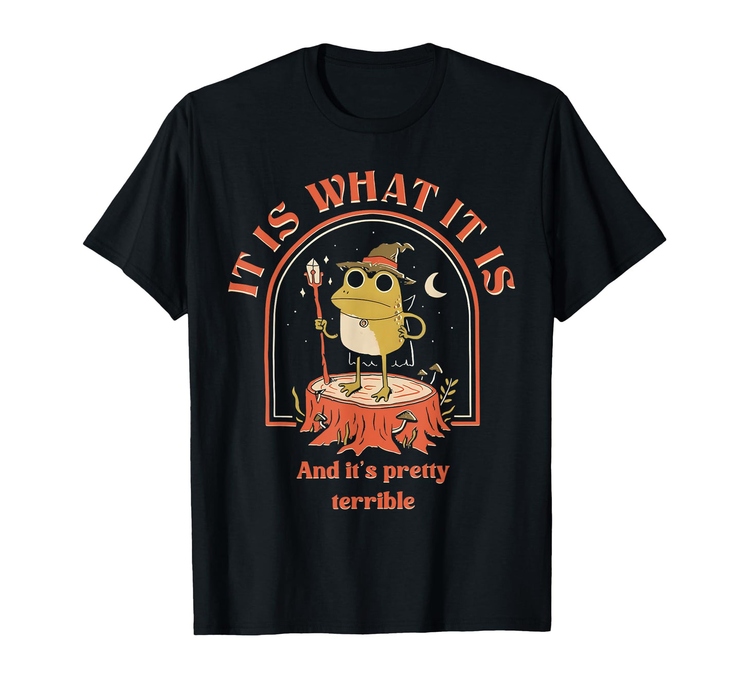 It Is What It Is And It's Pretty Terrible Frog Meme T-Shirt