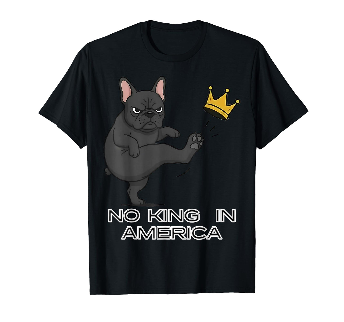 No Kings Protest Sign, We The People, No Kings in America T-Shirt