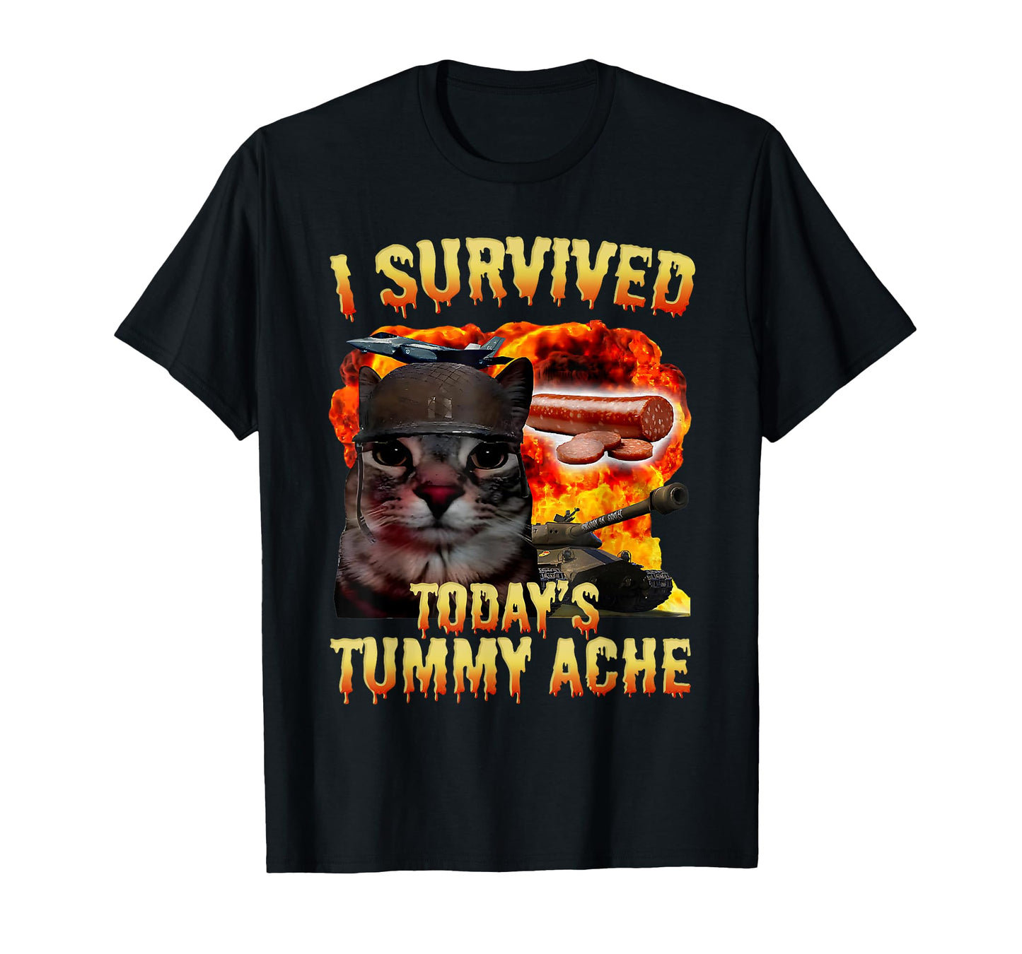 Tummy Ache Survivor Cat Meme Funny Saying Cats Animals Men Women Kids T-Shirt