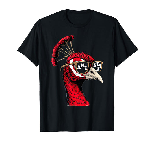 Amistad House of Friendship, Teachers Students School Spirit T-Shirt