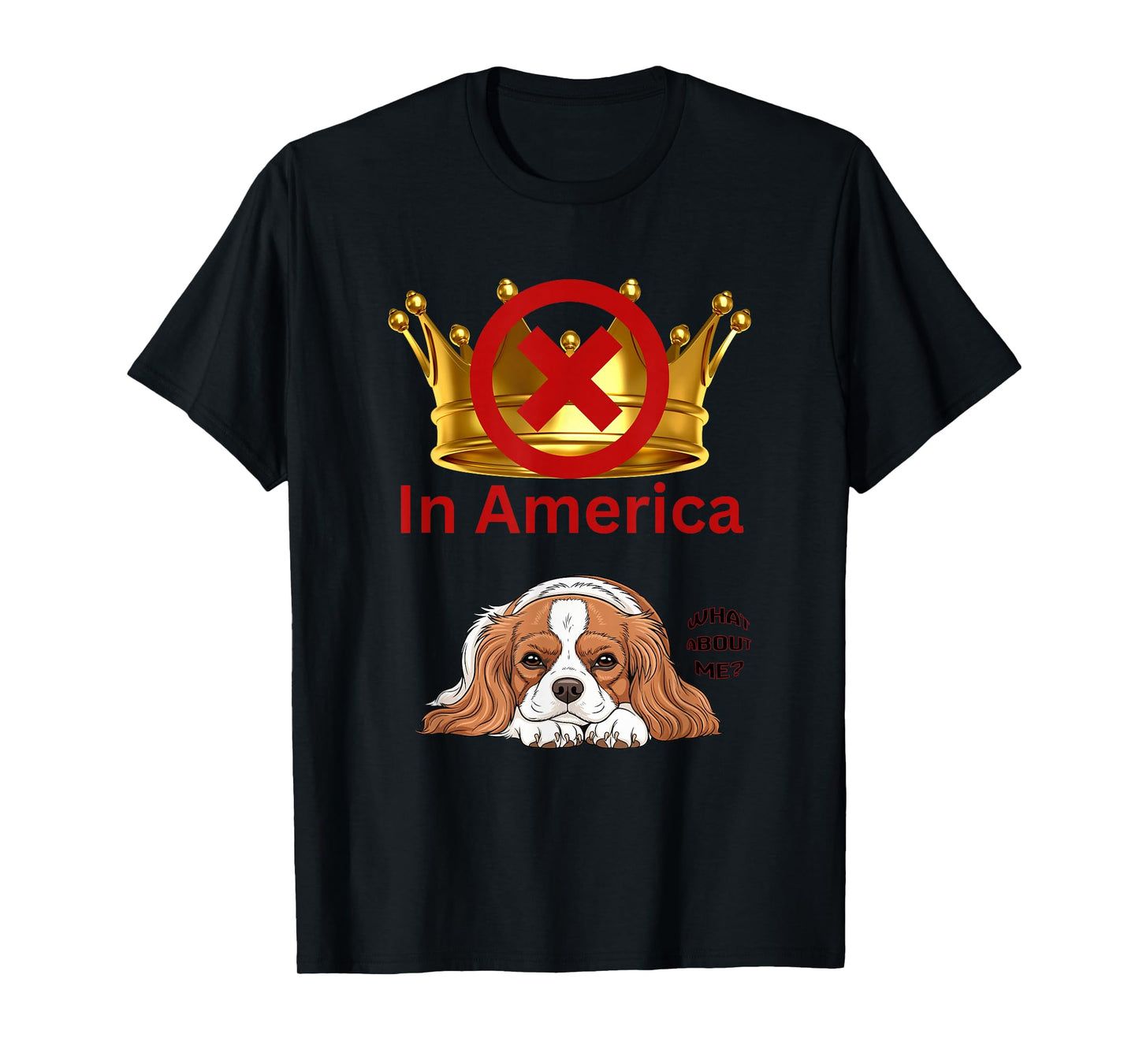 No Kings in America Apparel We The People Democracy USA T-Shirt