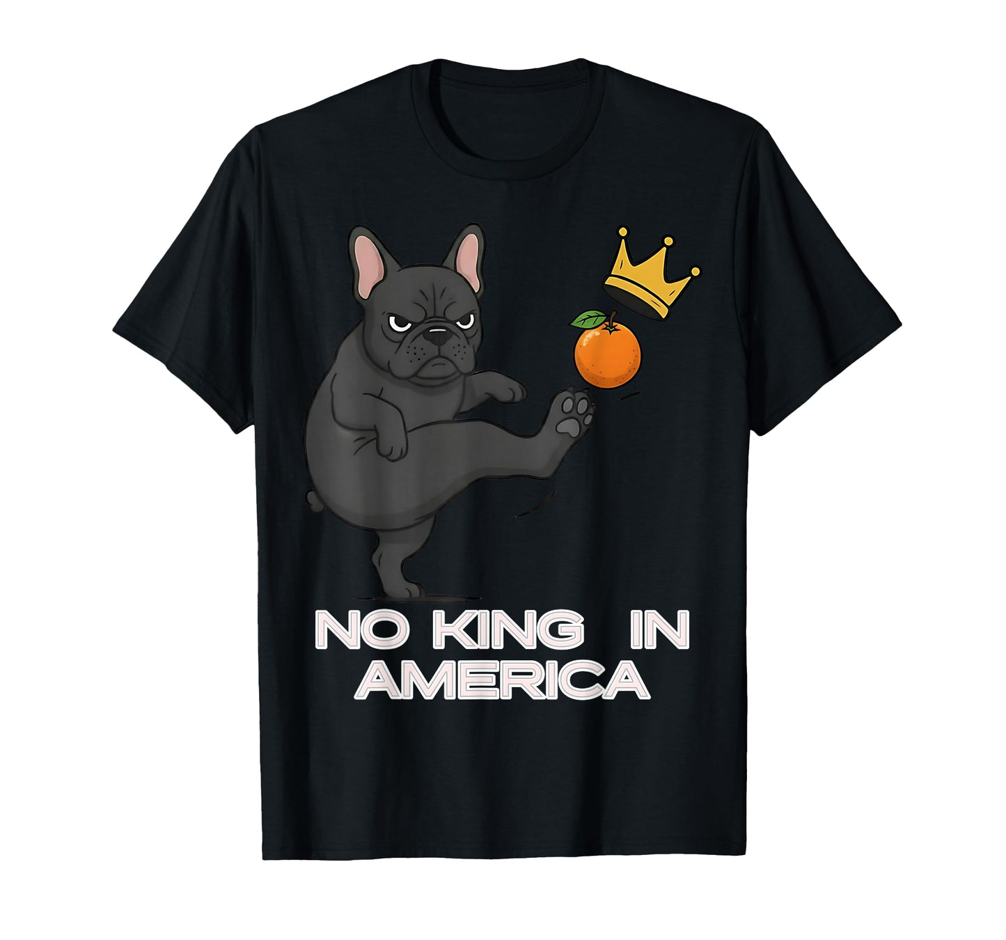 No Kings Protest Sign, We The People, in America No Kings T-Shirt