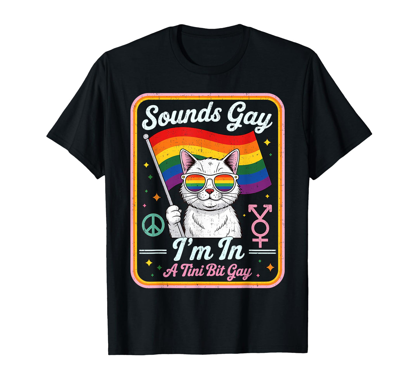 Hilarious LGBTQ Cat Holding Flag with A Tini Bit Gay Quote T-Shirt for Men Women Kids